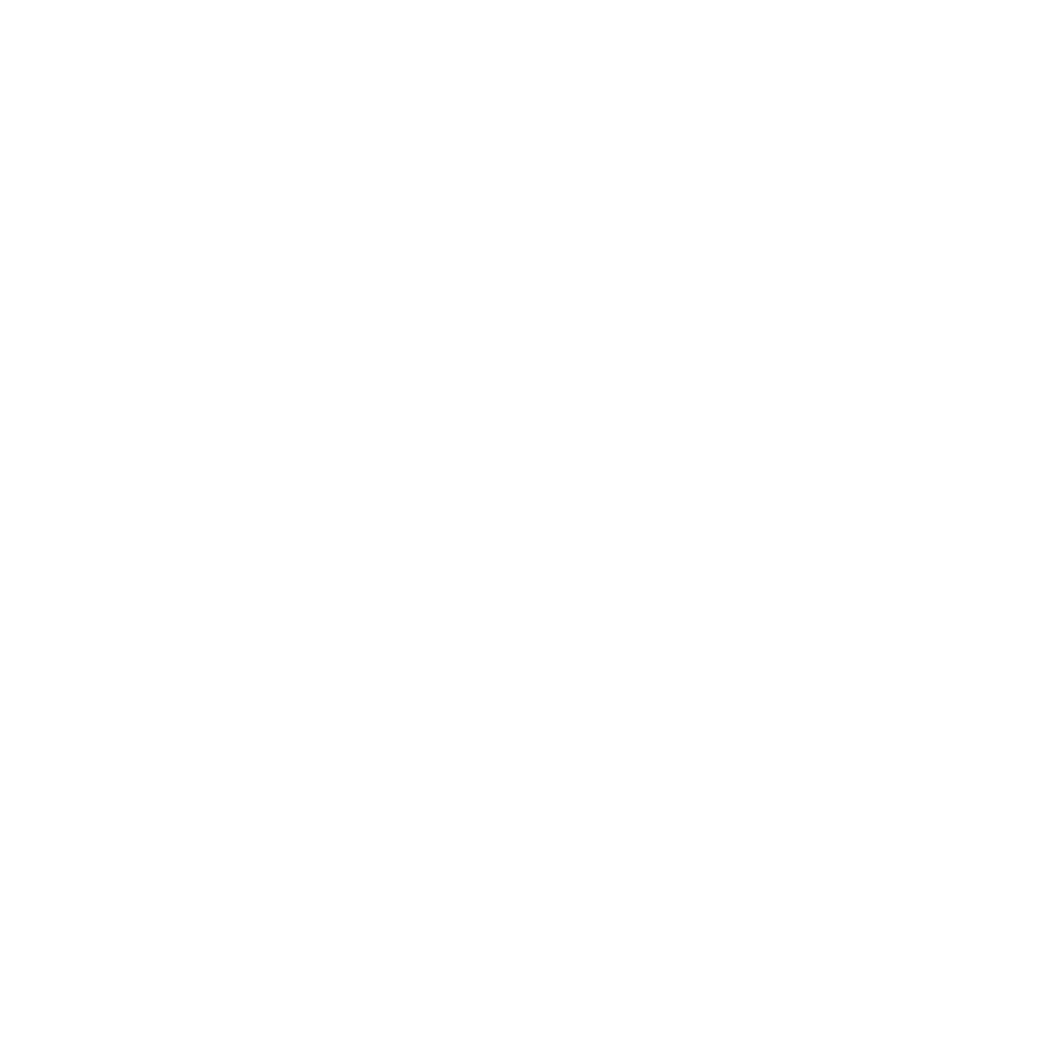 NBT Logo